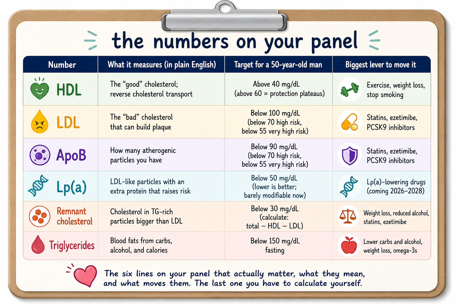 A clipboard-style infographic titled 'the numbers on your panel' showing a six-row reference table. Rows: HDL (target above 40 mg/dL), LDL (below 100 mg/dL, 70 if high risk, 55 if very high risk), ApoB (below 90 mg/dL, 70 if high risk, 55 if very high risk), Lp(a) (below 50 mg/dL), Remnant cholesterol (below 30 mg/dL, calculate as total minus HDL minus LDL), Triglycerides (below 150 mg/dL fasting). Columns show what each number measures and the biggest lever to move it.