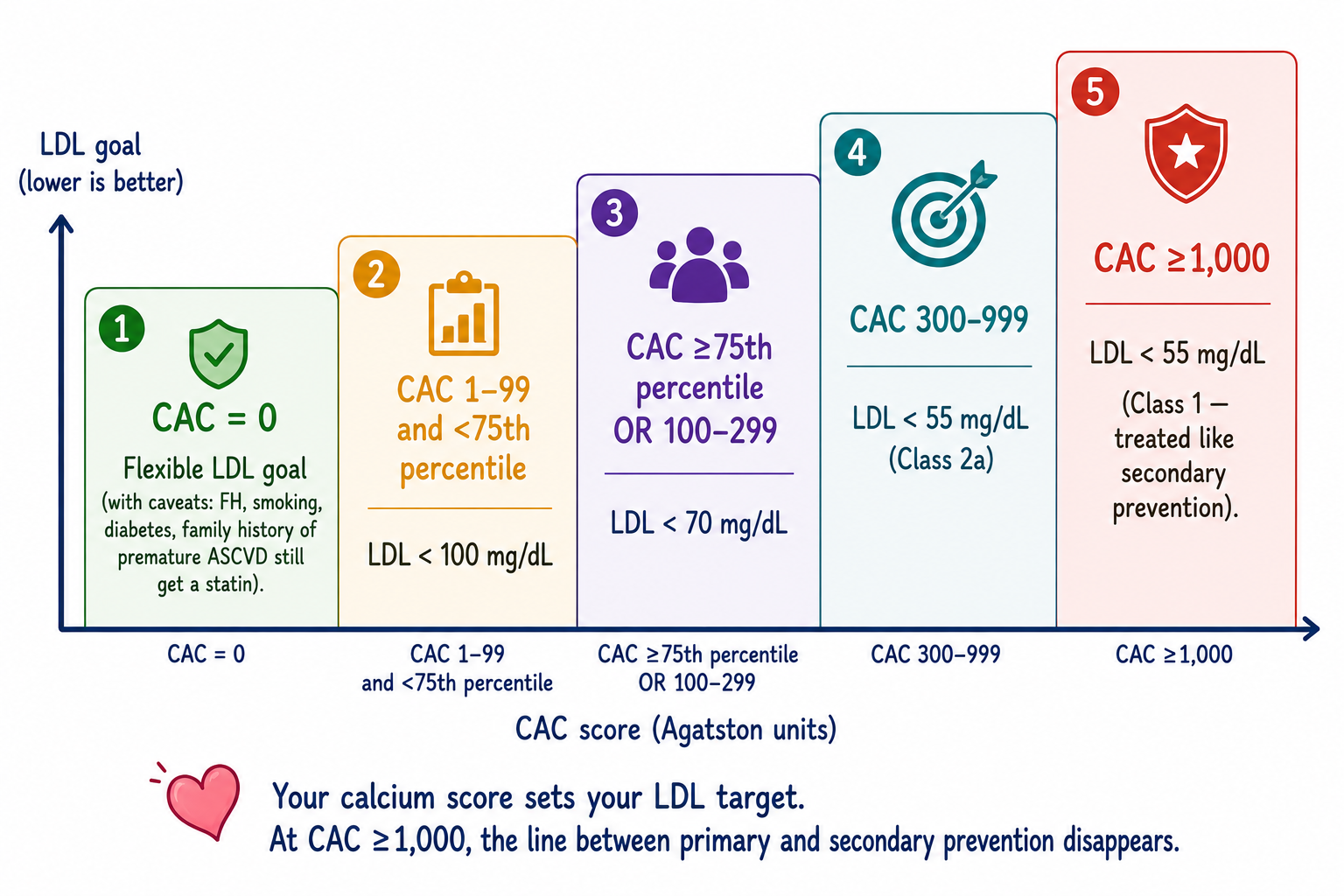 A five-step ladder chart showing coronary artery calcium (CAC) score buckets along the X axis and LDL goals along the Y axis. CAC 0 (flexible LDL goal with caveats for familial hypercholesterolemia, smoking, diabetes, family history); CAC 1-99 and below 75th percentile (LDL below 100); CAC 75th percentile or higher OR 100-299 (LDL below 70); CAC 300-999 (LDL below 55, Class 2a); CAC 1000 or higher (LDL below 55, Class 1, treated like secondary prevention). Green-to-red color gradient.