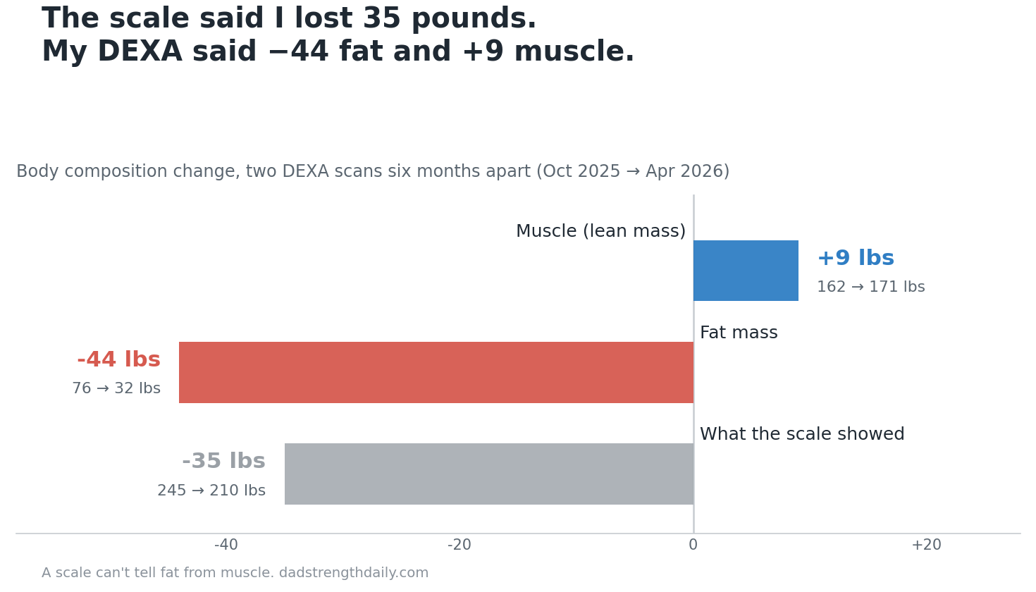 DEXA body composition change: 44 lbs of fat lost and 9 lbs of muscle gained over six months while the scale showed only 35 lbs