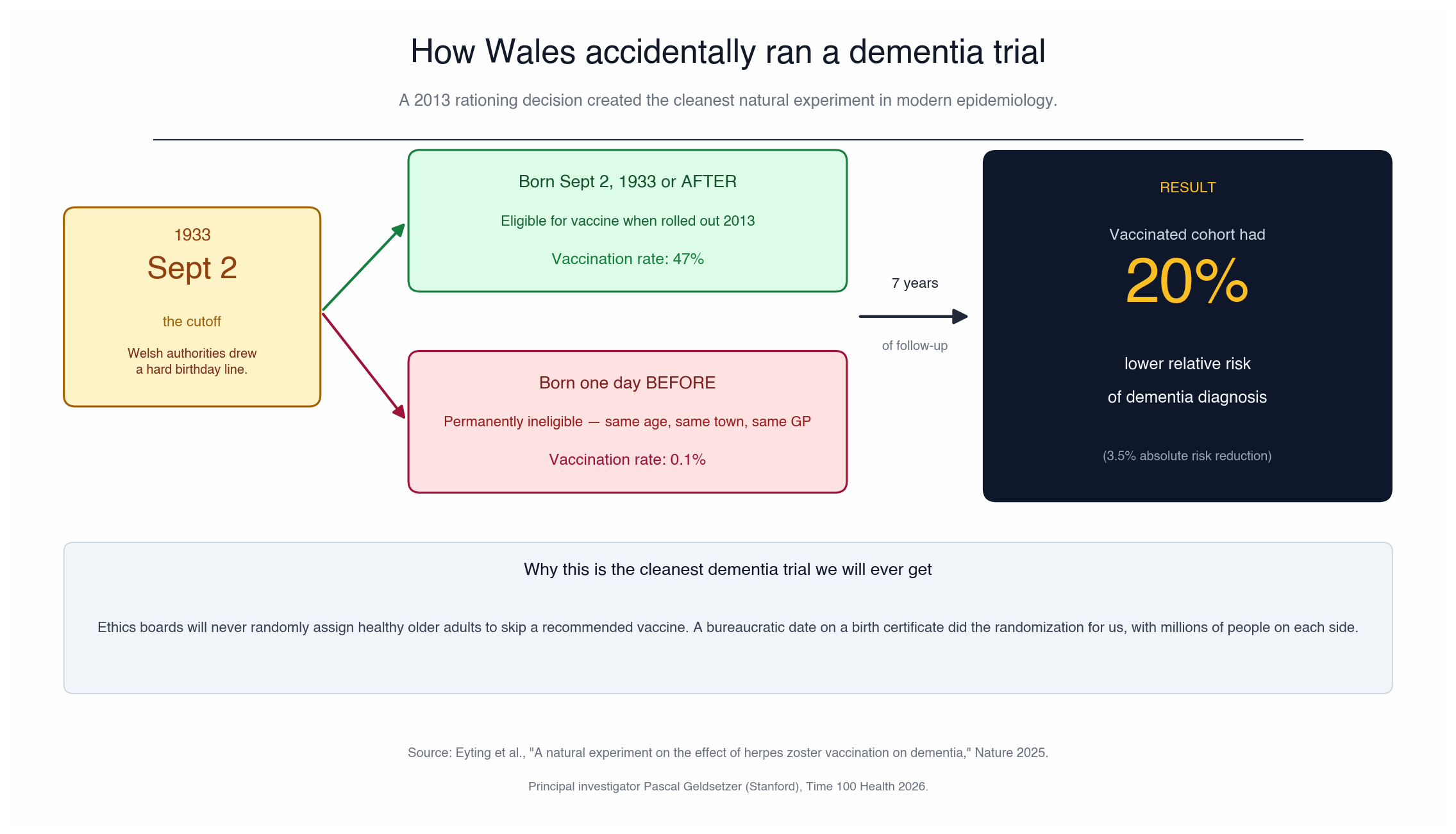 Diagram of the Wales natural experiment on shingles vaccination and dementia. Welsh health authorities set September 2, 1933 as the birthday cutoff for vaccine eligibility when the program rolled out in 2013. Adults born on or after were eligible (47% vaccinated). Adults born one day earlier were permanently ineligible (0.1% vaccinated). After 7 years of follow-up, the vaccinated cohort had a 20% lower relative risk of dementia diagnosis (3.5% absolute risk reduction). Source: Eyting et al, Nature 2025.
