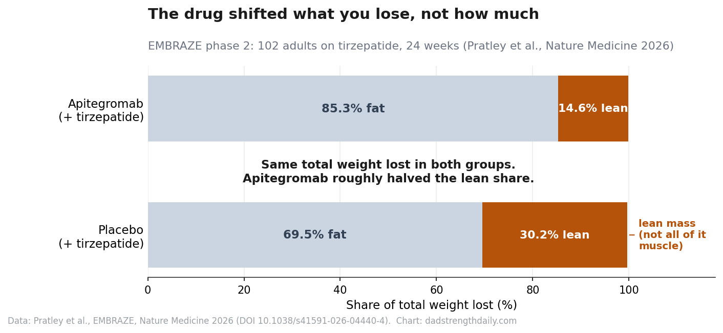 Stacked bar chart comparing the composition of weight lost on tirzepatide plus apitegromab versus tirzepatide plus placebo. Both groups lost about the same total weight, but only 14.6 percent of the apitegromab group's loss was lean mass against 30.2 percent on placebo.