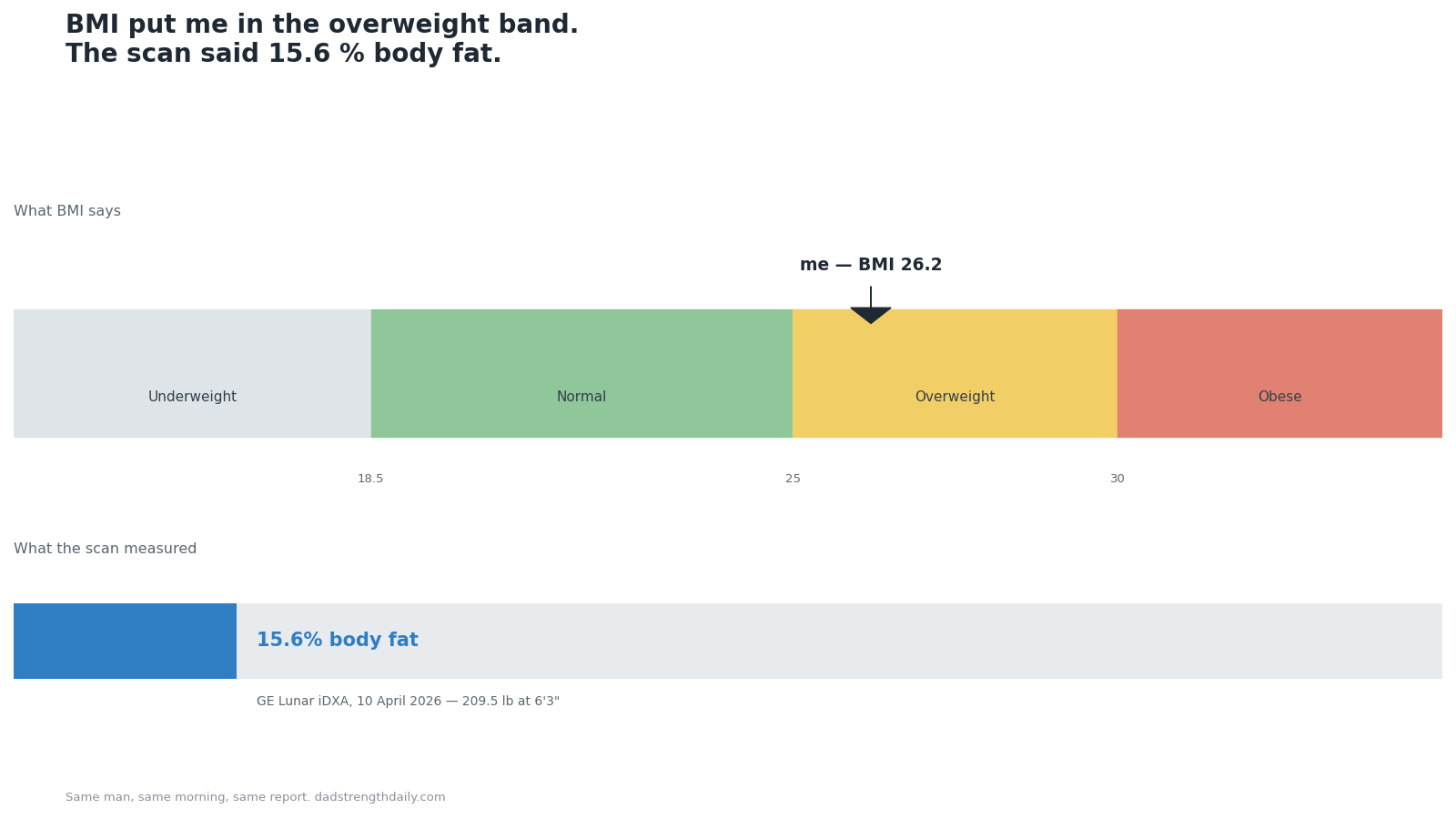 My DEXA report put my BMI at 26.2 in the Overweight band on the same page as a measured 15.6 percent body fat