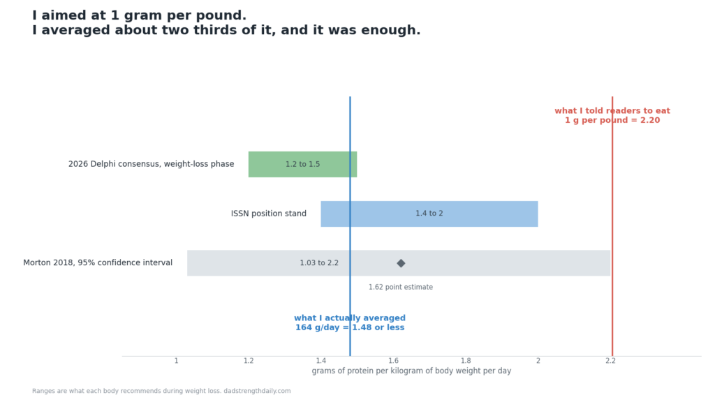 What each expert body recommends for protein during weight loss, in grams per kilogram, against the 1 gram per pound I recommended and the 164 grams a day I actually averaged