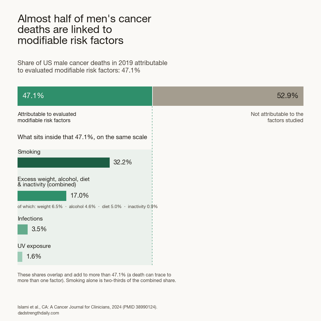 Chart of US male cancer deaths in 2019: 47.1% are attributable to modifiable risk factors and 52.9% are not, with the factors inside that 47.1% drawn on the same scale, smoking 32.2%, excess weight, alcohol, diet and inactivity together 17.0%, infections 3.5% and UV exposure 1.6%.
